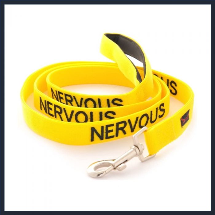 Nervous Yellow Neoprene Padded Dog Lead
